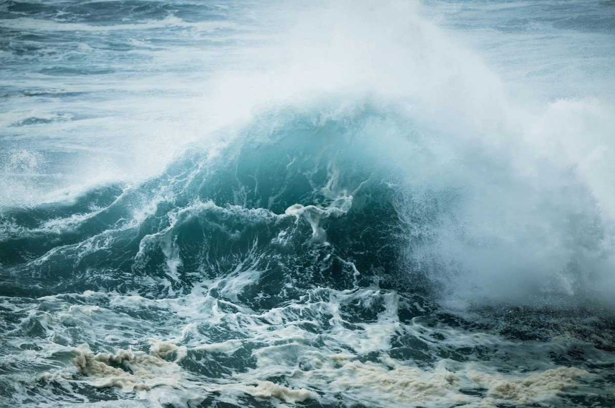 Enzo Barracco está protegendo o oceano por meio da arte — da Antártica ao Havaí | Um Só Planeta