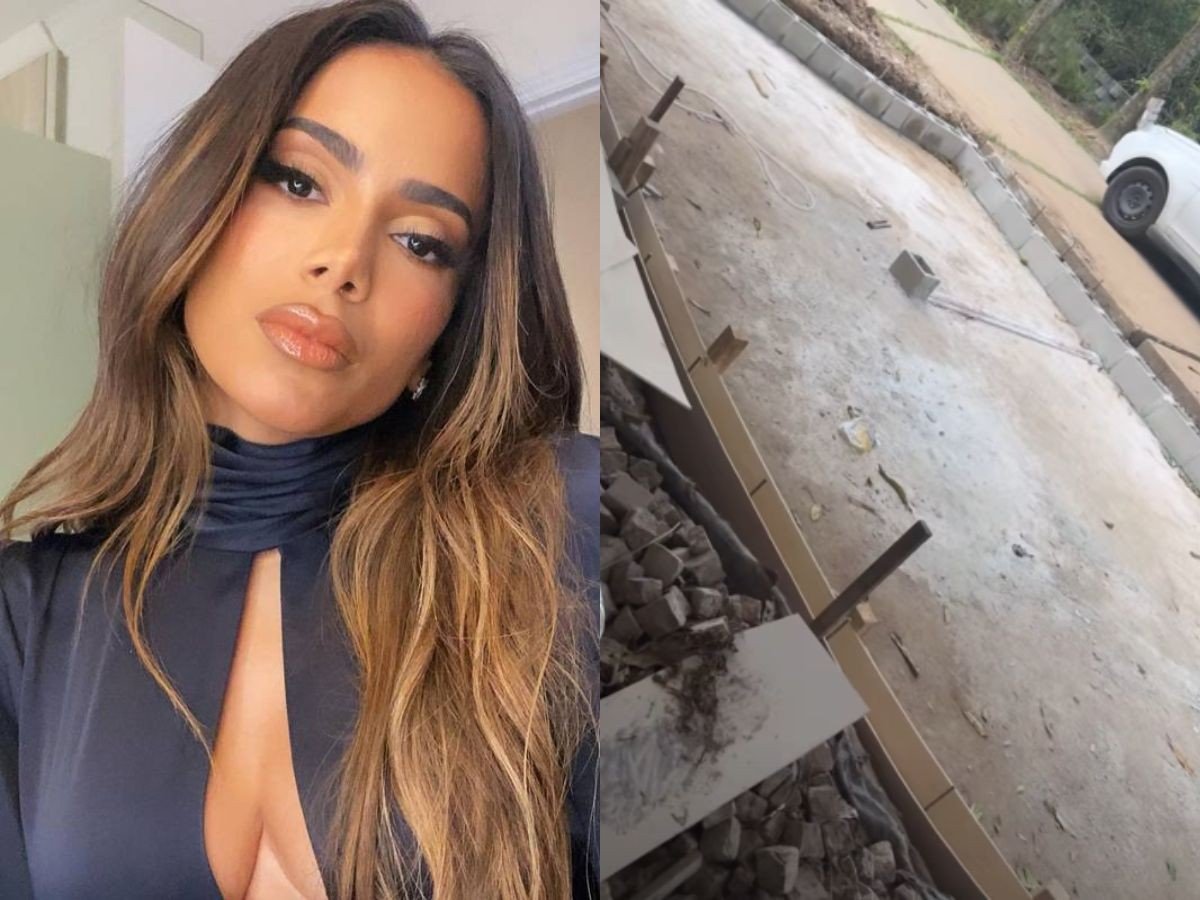 Anitta pede ajuda para encontrar escultura e colocar no lago de sua casa nova | Celebridades