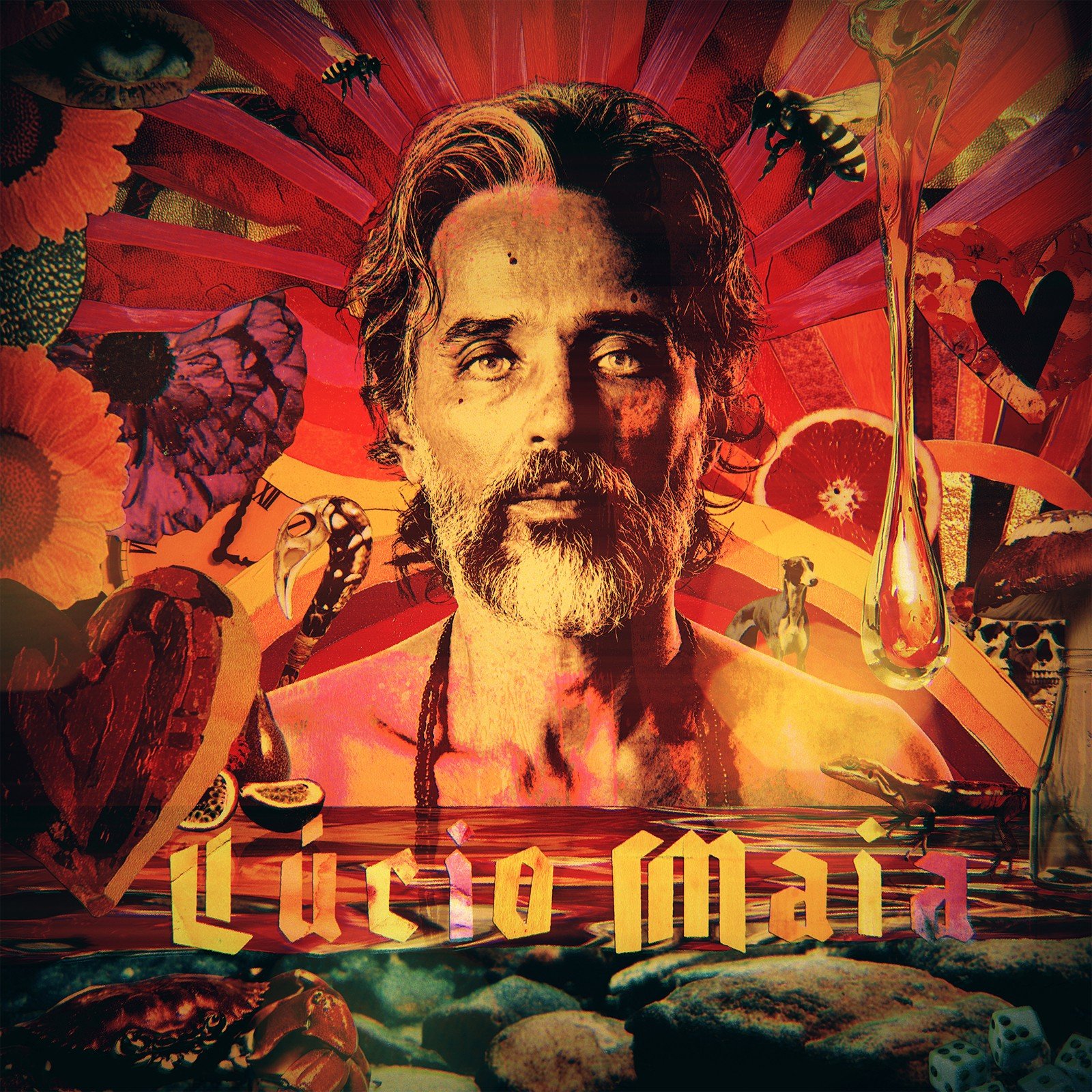 Lúcio Maia: Futurismo e Psicodelia Marcam o Segundo Álbum Solo do Guitarrista