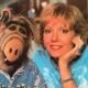 Morre Anne Schedeen, Estrela de ‘Alf, O ETeimoso’, Aos 77 Anos