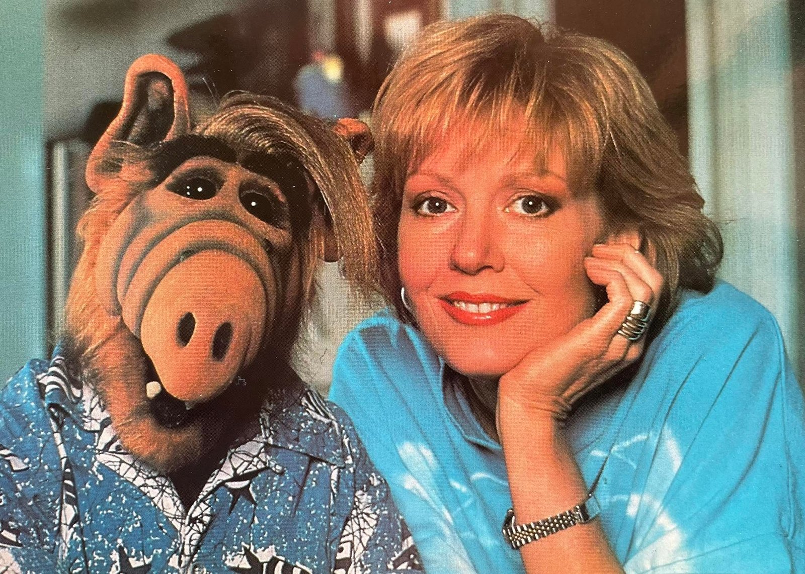Morre Anne Schedeen, Estrela de ‘Alf, O ETeimoso’, Aos 77 Anos Morre Anne Schedeen, Estrela de ‘Alf, O ETeimoso’, Aos 77 Anos
