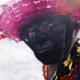 Mestre Ambrósio: Documentário Revela Legado Musical e Cultural de Pernambuco no In-Edit Brasil