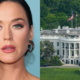 Katy Perry Repudia Uso de ‘Firework’ Pela Casa Branca em Conteúdo Militar: ‘Não Fui Consultada’