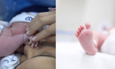 Nascimento de Dom: Lauana Prado Celebra Maternidade e Nova Fase Pessoal e Artística