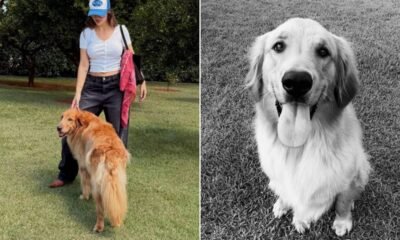 Rafa Kalimann Se Despede de Alfredo: A Dor da Perda e o Carinho dos Fãs