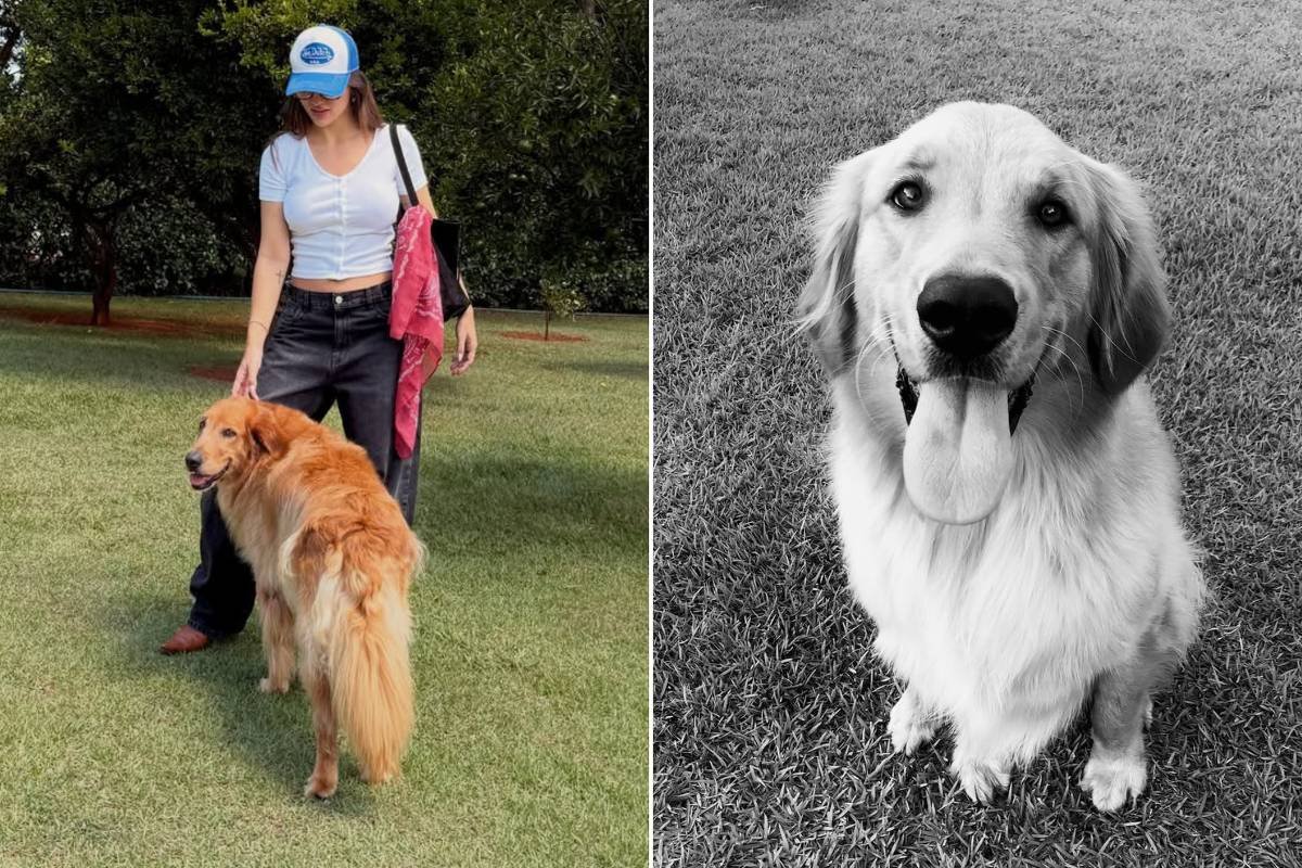 Rafa Kalimann Se Despede de Alfredo: A Dor da Perda e o Carinho dos Fãs Rafa Kalimann Se Despede de Alfredo: A Dor da Perda e o Carinho dos Fãs