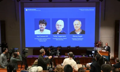Prêmio Nobel de Medicina de 2026: A Optogenética Revoluciona a Ciência e a Compreensão Cerebral