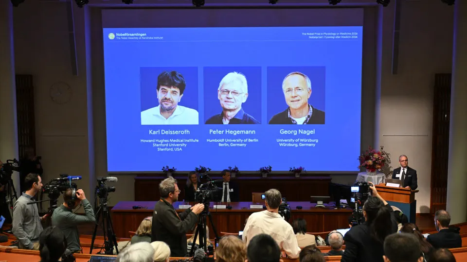 Prêmio Nobel de Medicina de 2026: A Optogenética Revoluciona a Ciência e a Compreensão Cerebral Prêmio Nobel de Medicina de 2026: A Optogenética Revoluciona a Ciência e a Compreensão Cerebral