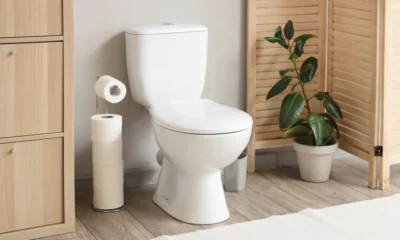 Hábitos no Banheiro: 4 Práticas Comuns que Afetam a Saúde Intestinal