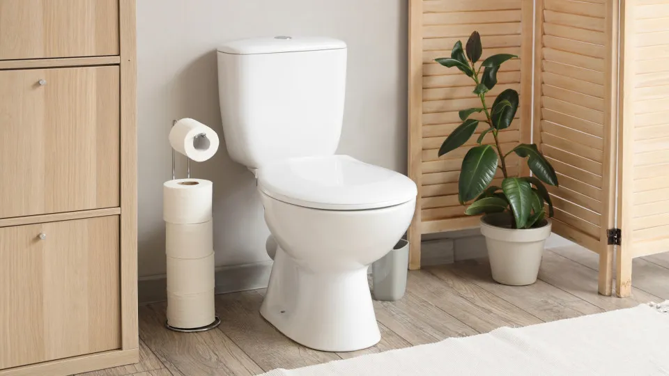 Hábitos no Banheiro: 4 Práticas Comuns que Afetam a Saúde Intestinal